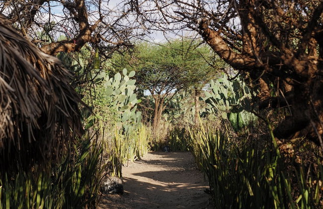 Tindiga Tented Camp - Foto 45