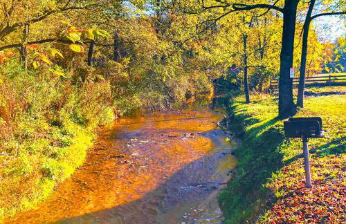 Lil Yellowstone - Foto 14