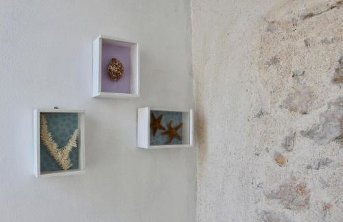 Lavanda - Photo 21