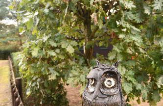 Finnhütten Waldesruh - Foto 30