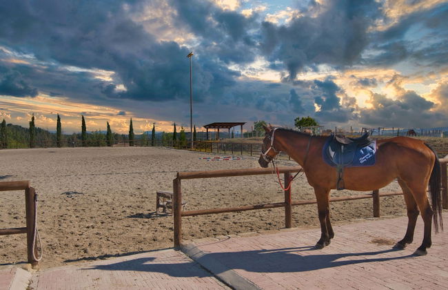 Agriturismo Podere Diacceroni - Foto 46