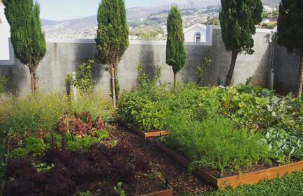 Villa Cary - Foto 26