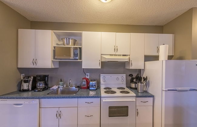 Banff Boundary Lodge-Mountain View Condo - Photo 12