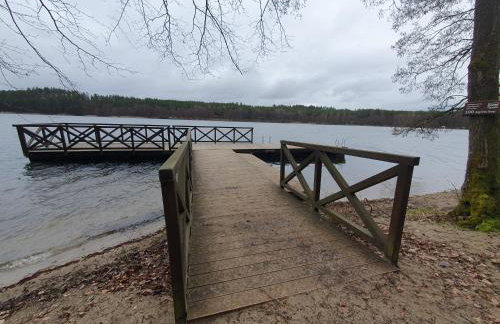 LEŚNY KĄCIK - Foto 58