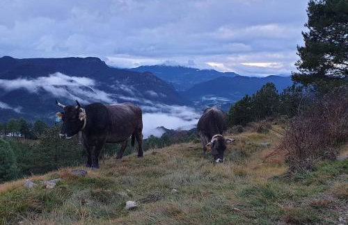 Precioso apartamento en el Pirineo Catalán - Foto 12