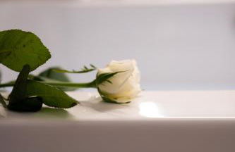 l'écrin du désir - Foto 14