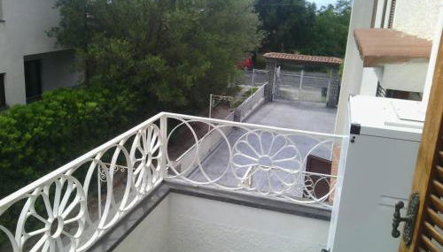 Il nespolo - Photo 5