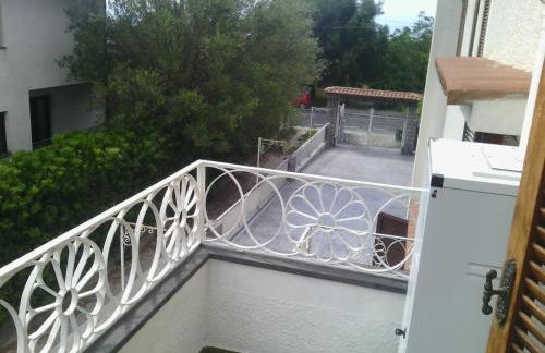 Il nespolo - Photo 5