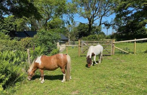 Polly's Barn, Penrhyn - Foto 22
