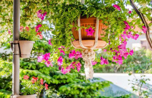 Apartments Villa Camellia - Adults Only - Foto 44