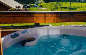 Bothy Cabin -Log cabin in wales - with hot tub - Foto 26