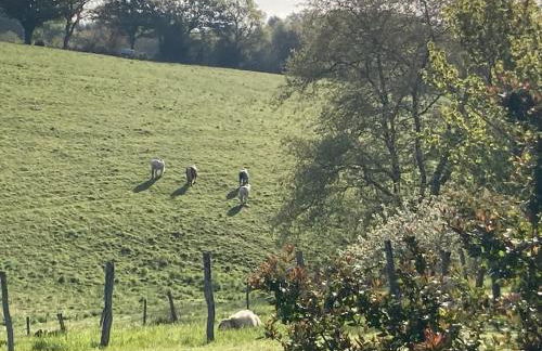 Villa ARGUIBEL - Foto 67