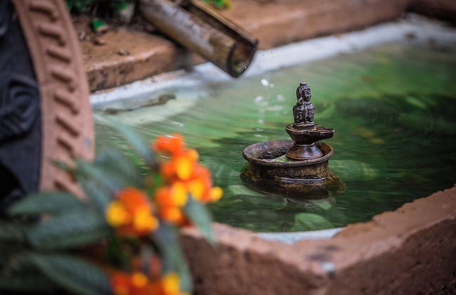 Mingtang Boutique Cottage - Photo 63