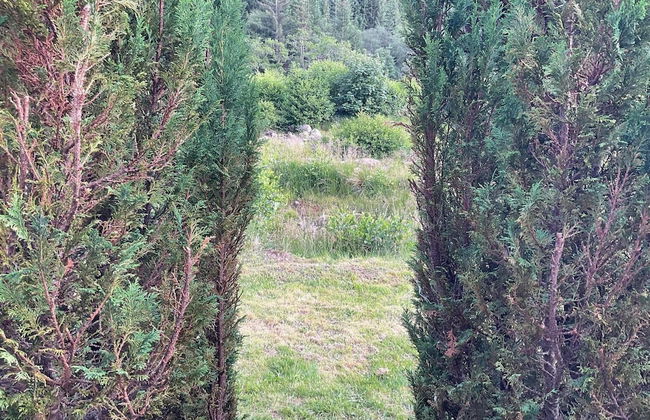 Highland River Retreat - Foto 1