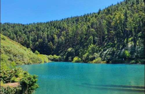 The Forager's Rest - Foto 58