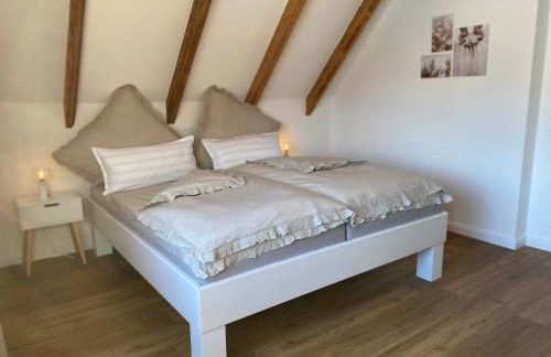 Ostseeferienhaus 33 über NN - Foto 3