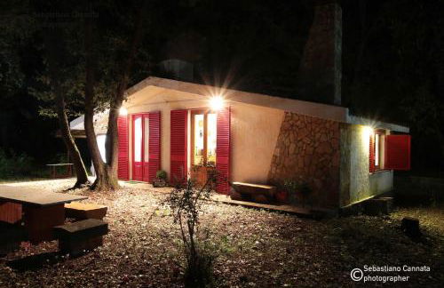 Villa Fini Apartment - Foto 15