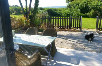 L'Effraie des Clochers - Foto 19