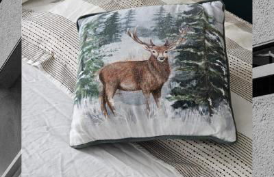 Allan & Ella House - Photo 36