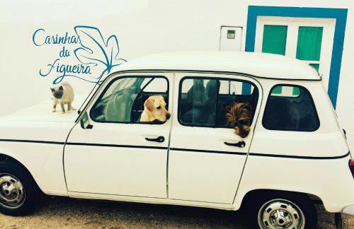 Casinhas da Figueira - Foto 43