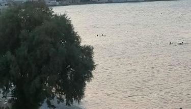 Mariannas tiny paradise - Foto 4