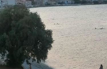 Mariannas tiny paradise - Foto 4