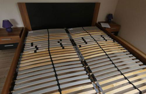 Goldener Fuchs in Moschendorf - Foto 19