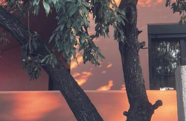 ALFIEA HOME 65m2 & ALFIEA STUDIO 35m2 - Foto 30