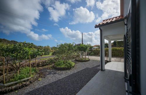 Casa da Amparo - Foto 16