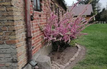 Domek na wsi Wiejsko Czarodziejsko - Agroturystyka Podlasie - Foto 64