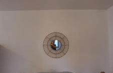 T1 rénové 28m2 Cosy Confort ! - Foto 11