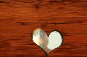 Danubio an der Donau - Donau-Resorium - Foto 33