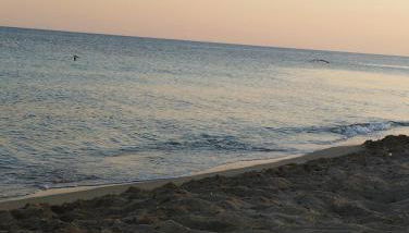 MAGIA Salento - Foto 4