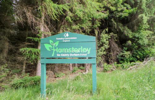 Forestside View - Photo 63