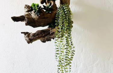 La casa di Regina - Foto 9