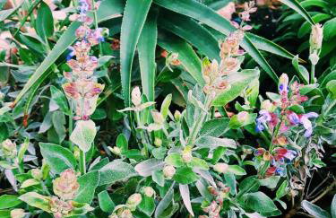 Villa SARA - Photo 26