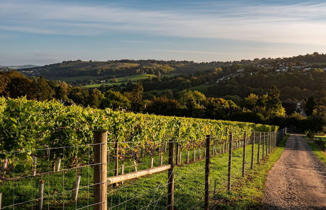 Woodchester Valley House - Foto 31