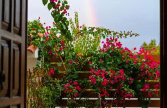 Peach Pine House - Escape Near City, Beach and Athens Airport - Foto 21