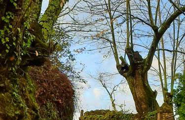 ALOJAMIENTO RURAL EL CASTAÑO - Foto 53