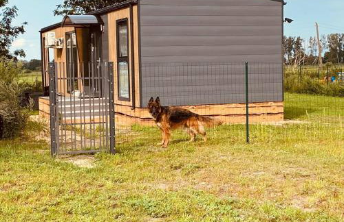 Holiday Home by Szczecin Lagoon with Garden - Foto 6