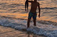 Villa la Torre Libeccio - Photo 50