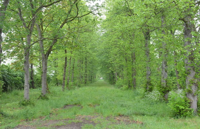 Superb Holiday Home With Garden in Serinchamps - Foto 24