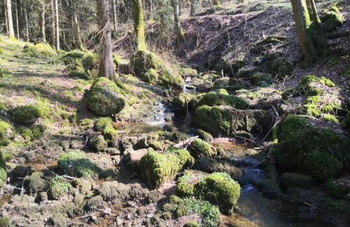 Chalet in Reinskopf With Fireplace - Foto 60