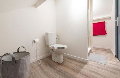 Studianzin - Foto 18