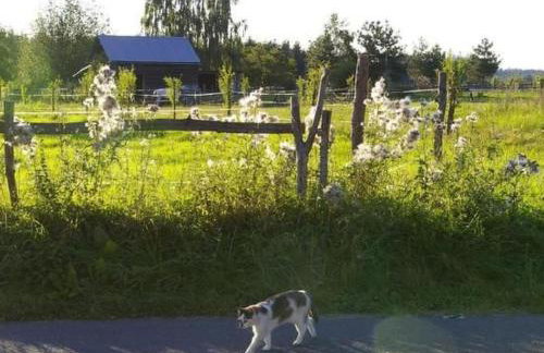 Holiday Home Blockhaus in Gajówka mit Kaminofen by Interhome - Foto 21