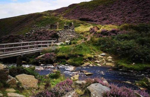 Malkin Wood Studio - 15 min walk to Holmfirth centre - Foto 17