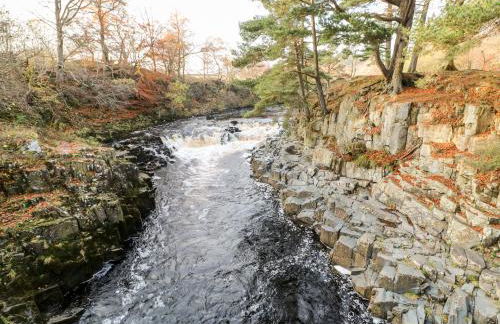 Badgers Sett - Foto 50