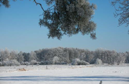 MCDreyer Ferienwohnung - Foto 48