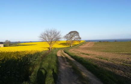 Les Bonnes Ondes - Chalet breton bord de mer - Baie Mont St Michel - Foto 33