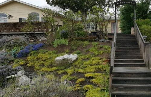 Charming, Private Cottage in Myrtle Creek - Foto 23